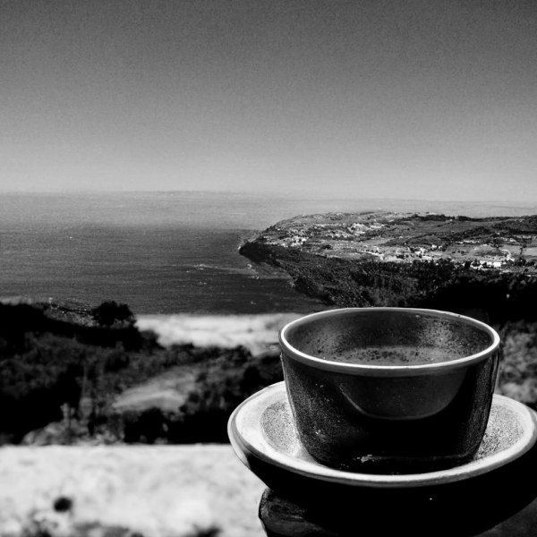 The Last Cup overlooking the ocean in Portugal